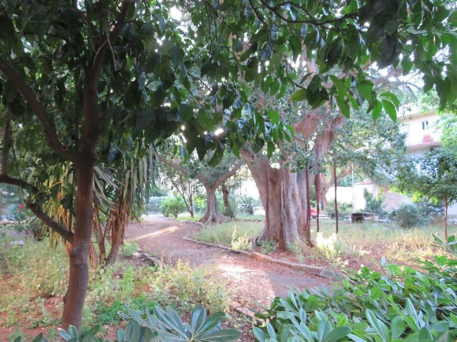 Relax Nel Verde- Giodapi Palm Palermo Luaran gambar